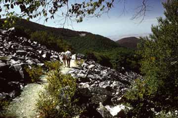 Appalachian National Scenic Trail