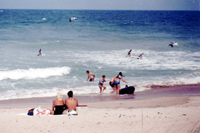 Canaveral National Seashore