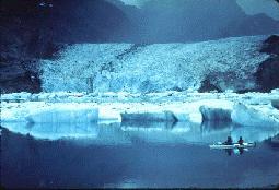 Glacier Bay National Park & Preserve