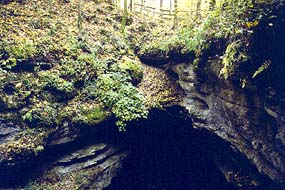 Mammoth Cave National Park