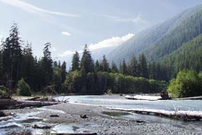 Olympic National Park